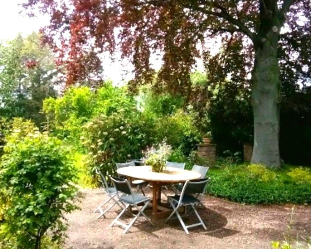 Ferienhaus Dr. Mueller Meißen Exteriér fotografie