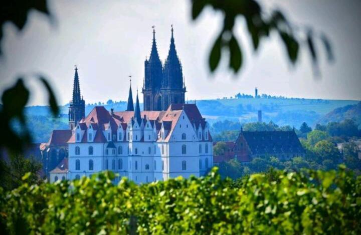 Ferienhaus Dr. Mueller Meißen Exteriér fotografie