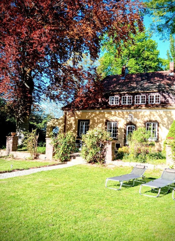 Ferienhaus Dr. Mueller Meißen Exteriér fotografie